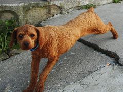 -阳台山自然风景区