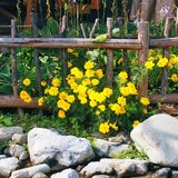 带妈妈去房山看红叶住精美民宿