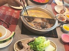 -一绪に寿喜烧(荟聚店)