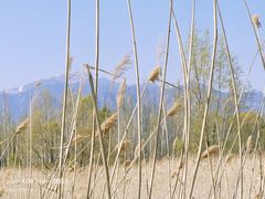 -野鸭湖国家湿地公园