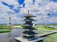 -呼兰河口湿地公园