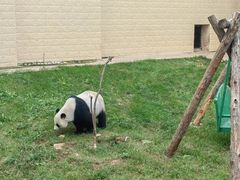 -石家庄市动物园