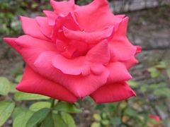 景点-宝墨园景区