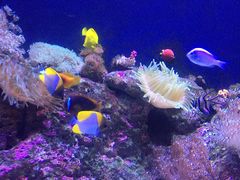 -成都浩海立方海洋公园