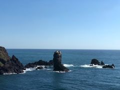 -涉地可支