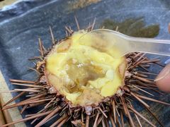 -海胆小馆(东北水饺·春柳店)