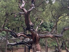 -草庵摩尼教遗址公园