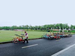 -春花秋色城市公园