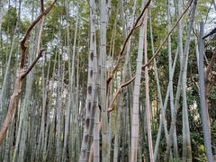 -苏州河梦清园环保主题公园