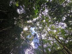 -七仙岭温泉国家森林公园