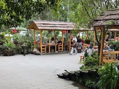 -青城甲(青城山店)