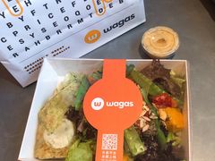 -Wagas沃歌斯(富力广场店)
