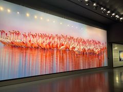 -罗红摄影艺术馆