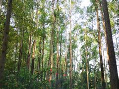 -南国桃园旅游度假区