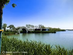 -阅海欢乐岛