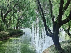 -杭州城北体育公园