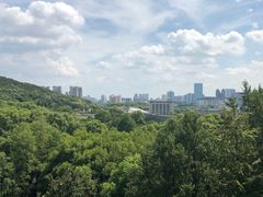 -武汉大学-樱园