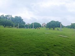 -红花山公园