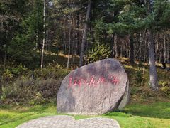 -五营红松林海景区