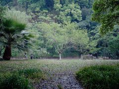 -江心屿景区