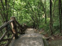 -马岭河峡谷风景区