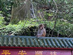 -庐山风景名胜区
