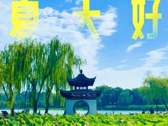 -颐和园