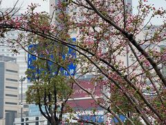 -青果巷历史文化街区