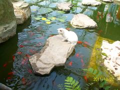 北京观光南瓜园&nbsp;(35)-观光南瓜园