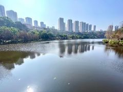 -重庆彩云湖湿地公园