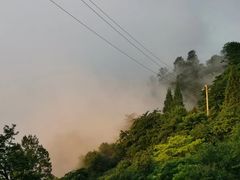 -大围山国家森林公园