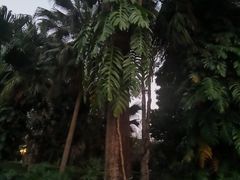 -南宁南湖公园