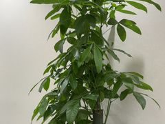 -W·24H茶楼·棋牌·掼蛋(望京店)