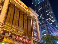 -上海南新雅大酒店