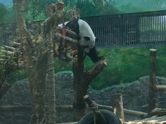 -黔灵山公园