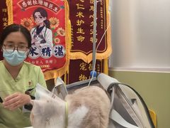 -悦宠动物医院(京丰分院)