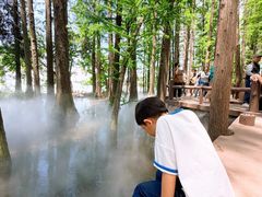 -东湖落雁景区