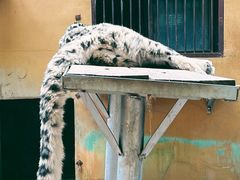 -青藏高原野生动物园