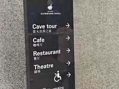 -怀托摩萤火虫洞