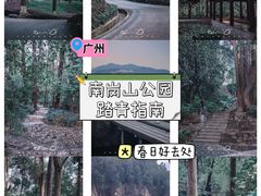 -南岗山公园