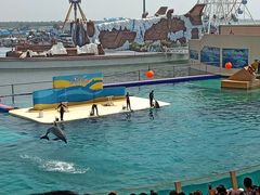 -秦皇岛乐岛海洋王国