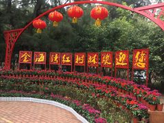 -北海金海湾红树林生态旅游区