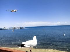 -青海湖二郎剑景区