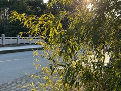-江南大学(蠡湖校区)