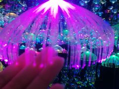 -天津梵高星空艺术馆(天河城旗舰店)