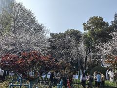 -堤角公园