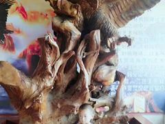 -陕西自然博物馆