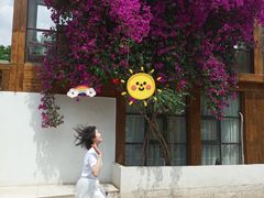 -三圣花乡旅游区