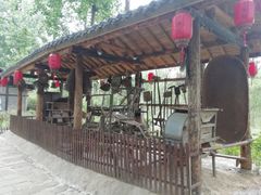 -合肥滨湖国家森林公园