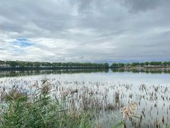 -野鸭湖国家湿地公园